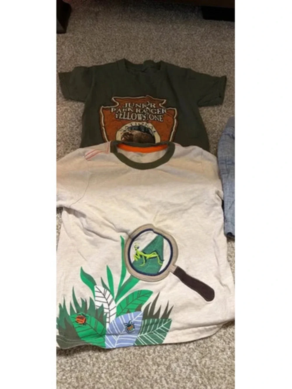 Gymboree Boys 4T T-Shirts and Shorts Set
